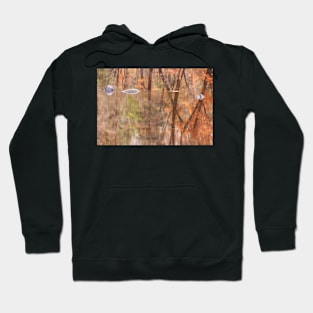 Yosemite Fall abstract Hoodie